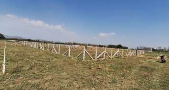  Plot For Resale in Behat Road Saharanpur 6626285