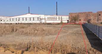 Commercial Industrial Plot 1244 Sq.Yd. For Resale In Sampla Rohtak 6635313