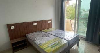 Studio Builder Floor For Rent in Ardee City Sector 52 Gurgaon 6636821