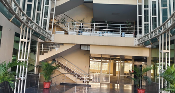 Commercial Office Space 10000 Sq.Ft. For Rent In Industrial Area Phase I Chandigarh 6636859