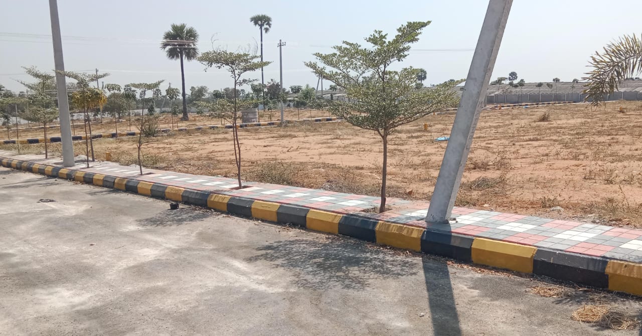 Plot For Resale in Narapally Hyderabad  6637096