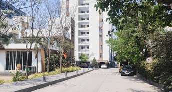 2 BHK Apartment For Rent in Anandtara Whitefield Residences Keshav Nagar Pune 6637187