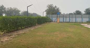 Commercial Land 8000 Sq.Yd. For Resale In Tapovan Circle Ahmedabad 6637291