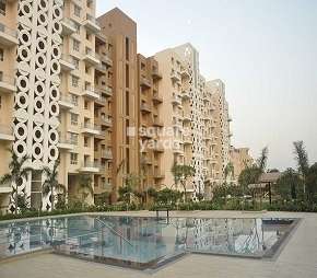 3 BHK Apartment For Rent in Sheth Beverly Hills Hinjewadi Pune 6637868