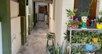 3 BHK Independent House For Resale in Viram Khand Lucknow 6637995