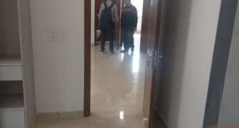 3 BHK Builder Floor For Rent in Paschim Vihar Delhi 6638047