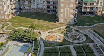5 BHK Apartment For Resale in Tulip Ace Sector 89 Gurgaon 6638333