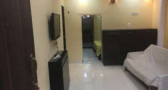 1 BHK Apartment For Rent in Rock House Worli Worli Mumbai 6638619