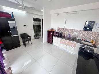 1 BHK Apartment For Resale in Amanora Adreno Towers Hadapsar Pune 6638566