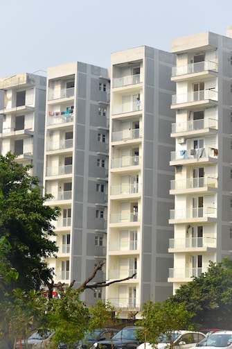 3 BHK Apartment For Resale in BCC Bharat City Phase II Indraprastha Yojna Ghaziabad  6638819