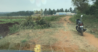 Commercial Land 7 Acre For Resale In Mysore Road Bangalore 6638925