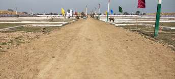 Plot For Resale in Jewar Greater Noida  6639054