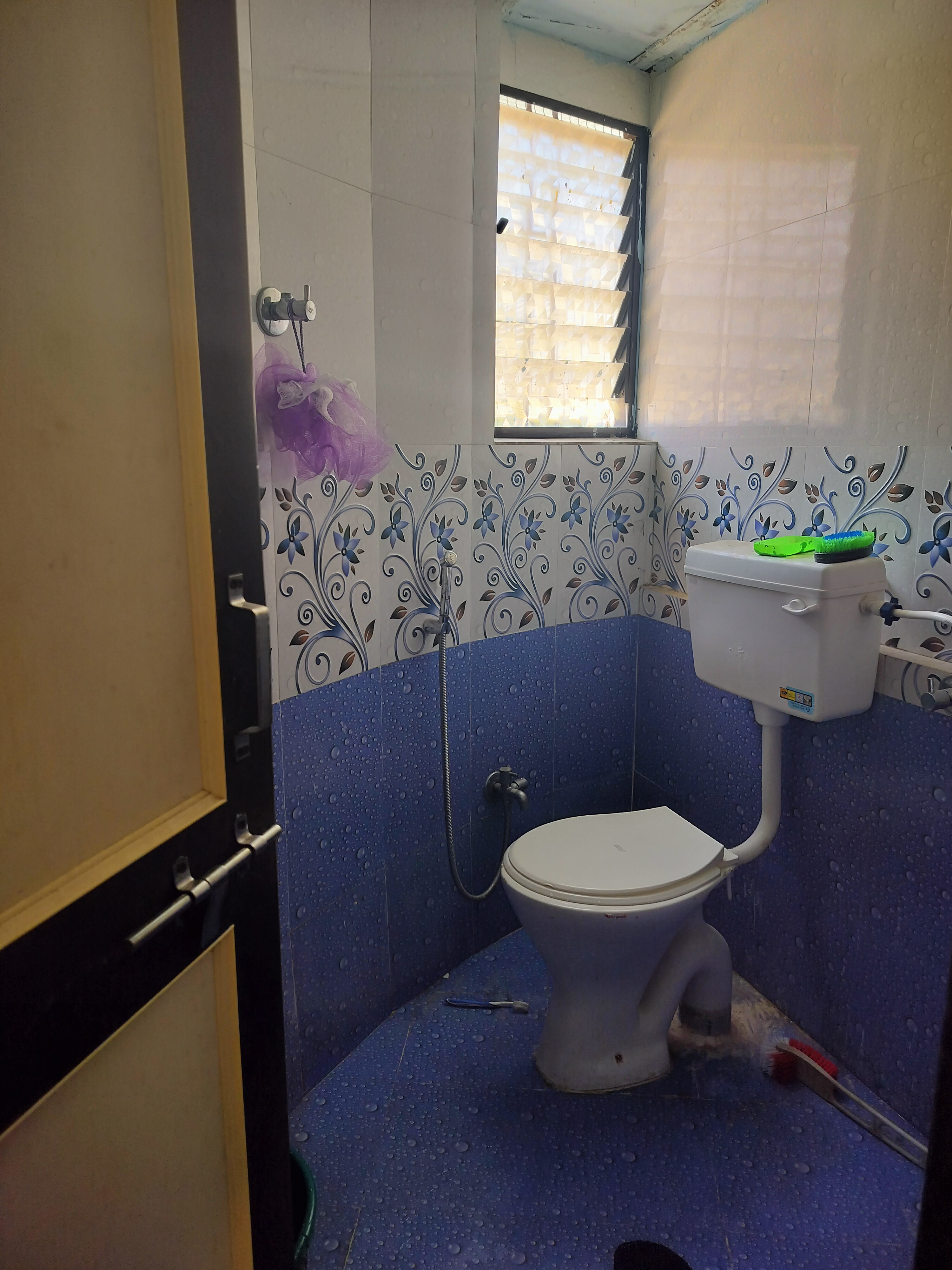 Rental 1 RK 300 Sq.Ft. Independent House in Sai Vihar Karve Nagar