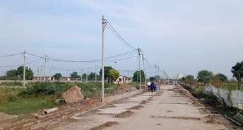  Plot For Resale in Gn Sector 27 Greater Noida 6639463