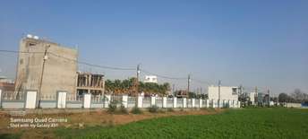  Plot For Resale in Bhawrasla Indore 6639729