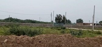 Plot For Resale in Chi Phi Greater Noida Greater Noida  6639704