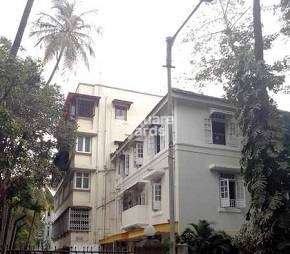 1 BHK Apartment For Rent in Dadar N J Wadia CHS Dadar East Mumbai 6639821
