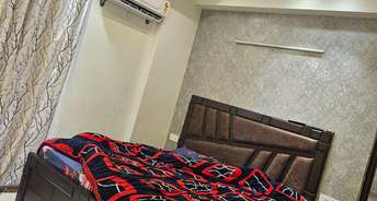 3 BHK Apartment For Rent in Maya Green Lotus Saksham Patiala Road Zirakpur 6639841
