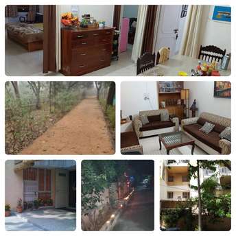 3 BHK Apartment For Rent in B8 Vasant Kunj Vasant Kunj Delhi 6639931