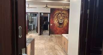 3 BHK Builder Floor For Rent in Yojana Vihar RWA Anand Vihar Delhi 6640065