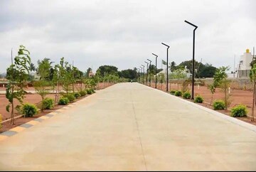 Plot For Resale in Sri Nagar Colony Hyderabad  6640208