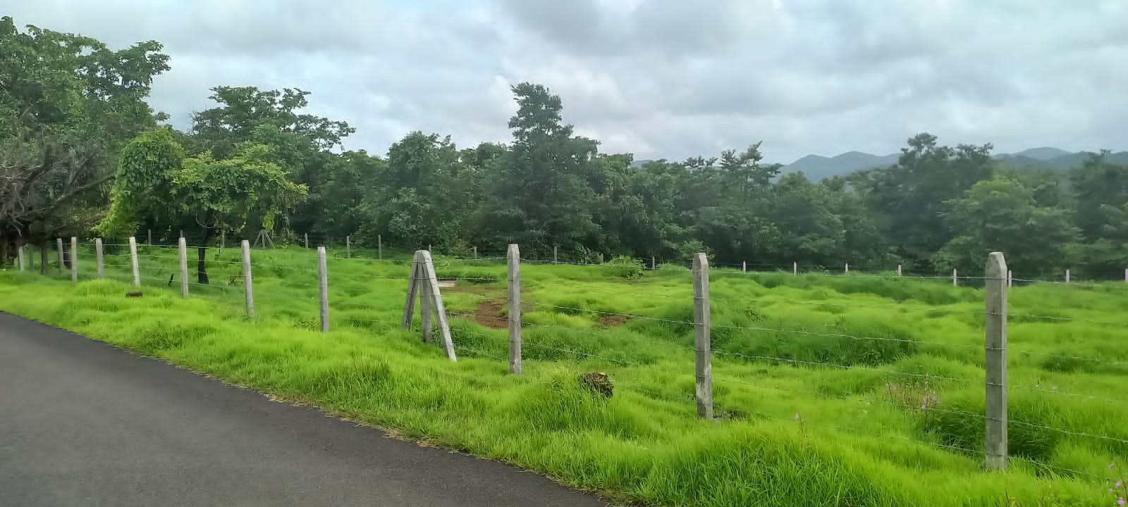 Plot For Resale in Mangaon Raigad  6640225