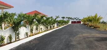 Plot For Resale in Chevalla Hyderabad  6640507