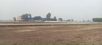 Plot For Resale in Tappal  Greater Noida  6640851