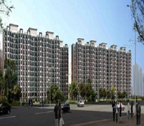 3 BHK Apartment फॉर रीसेल इन Tulip White Sector 69 Gurgaon  6641094