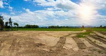 Commercial Land 4 Acre For Resale In Borsi Durg 6641425