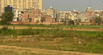  Plot For Resale in Divine Meadows Sector 108 Noida 6641538