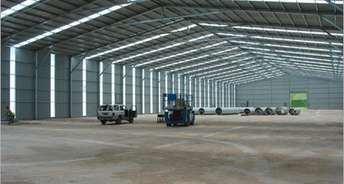 Commercial Warehouse 10000 Sq.Ft. For Rent In Naini Allahabad 6641943