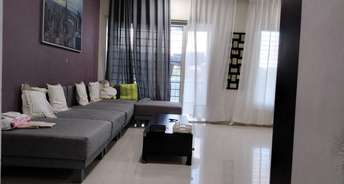 2 BHK Apartment For Rent in Harshad Ashok Nagar Phase I Hadapsar Pune 6642055