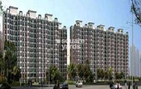 3 BHK Apartment For Rent in Tulip White Sector 69 Gurgaon 6642131