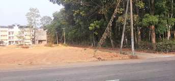 Commercial Land 1 Acre For Rent In Palai Kottayam 6642601