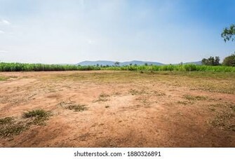 Plot For Resale in Borsi Durg  6642804