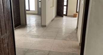 3 BHK Builder Floor For Rent in Gomti Nagar Lucknow 6643322