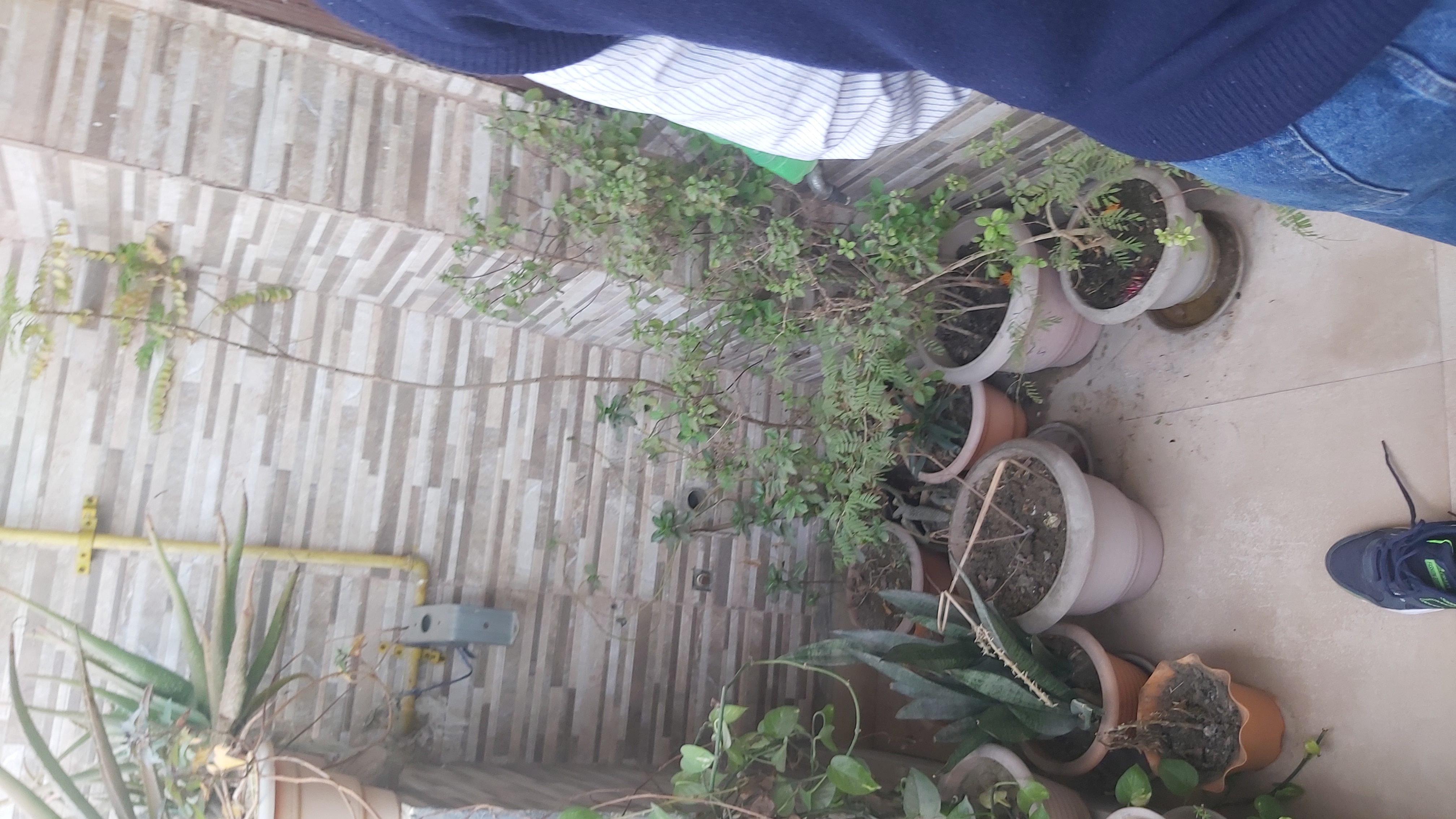 Property for Rent in East Delhi, Delhi 2357+ Property on Rent in East