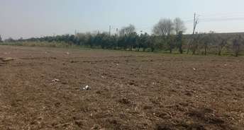  Plot For Resale in Sector 115 Chandigarh 6644272