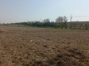 Plot For Resale in Sector 115 Chandigarh  6644272