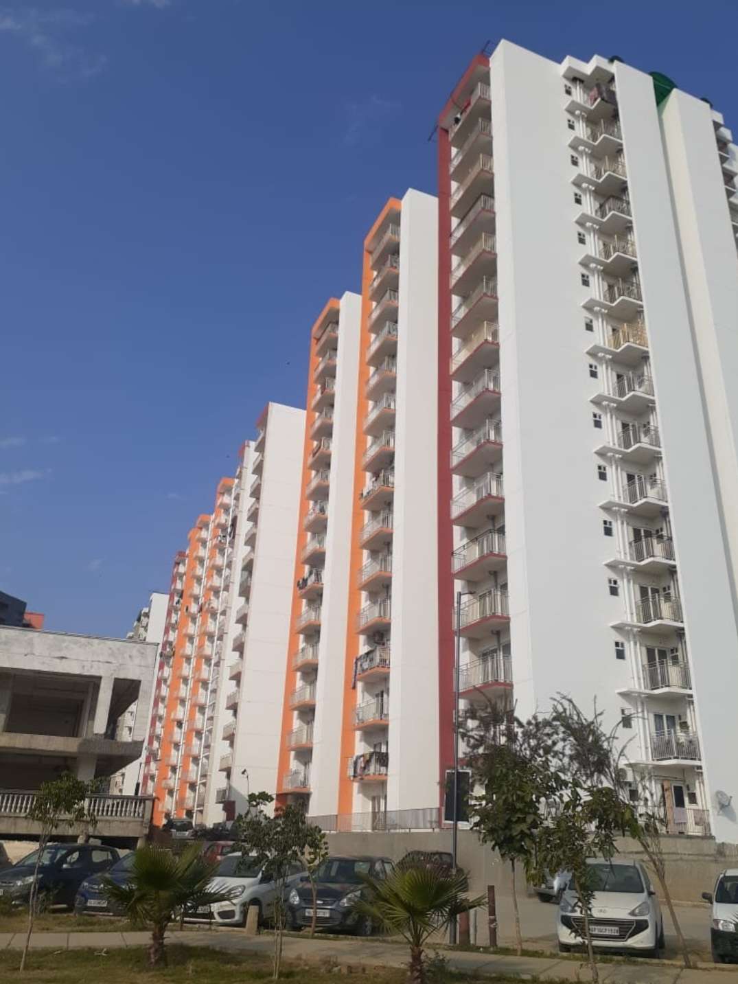 2 BHK Apartment For Rent in BCC Bharat City Phase II Indraprastha Yojna Ghaziabad 6644320