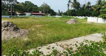  Plot For Resale in Yaqubpur Noida 6644696