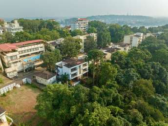 1 BHK Apartment For Resale in Guirdolim North Goa 6645155