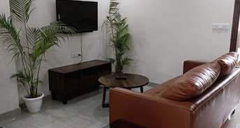 3 BHK Builder Floor For Rent in Sushant Lok 1 Sector 43 Gurgaon 6645278