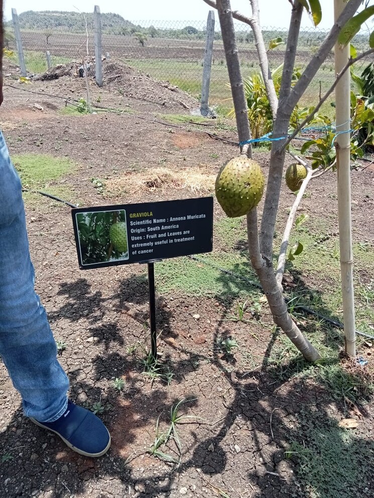 Exterior View, kamkole  257 Sq.Yd. Plot In Kamkole Hyderabad 6645293