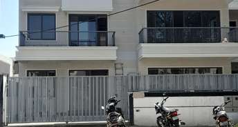 6+ BHK Independent House For Resale in Sector 11 Chandigarh 6645333