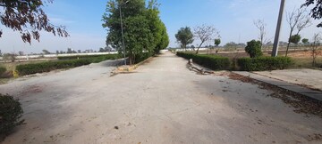 Plot For Resale in Jewar Greater Noida  6645341