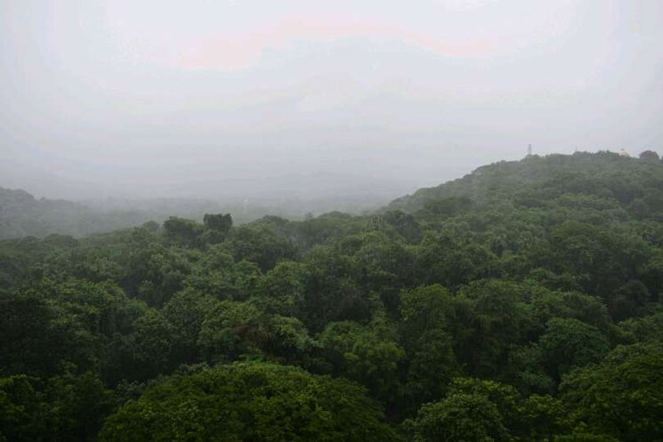 Garden, raheja-estate 3 Bedroom 1000 Sq.Ft. Apartment In Borivali East Mumbai 6646235