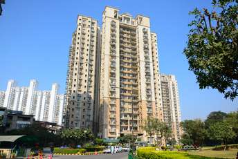 3 BHK Apartment For Rent in DLF Regency Park II Sector 27 Gurgaon 6646145
