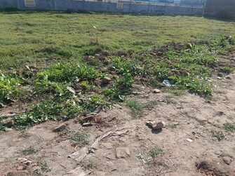 Plot For Resale in Gadarpur Rudrapur  6646645